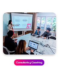 Consultoría y coaching académico